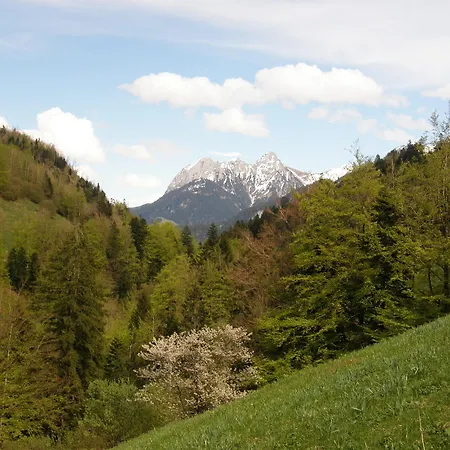 Bed and breakfast Chalet Des Graines D'aventures